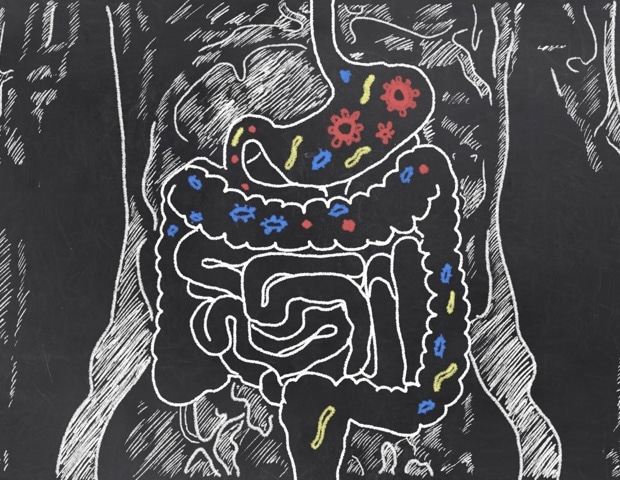 diet-and-microbiome-key-players-in-rising-gastric-cancer-cases