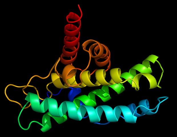 genetic-mutations-in-slc13a5-linked-to-epilepsy-uncovered-in-new-study-1