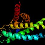 genetic-mutations-in-slc13a5-linked-to-epilepsy-uncovered-in-new-study