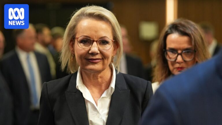 sussan-ley-s-vision-for-liberal-party-marks-new-era-in-australian-politics