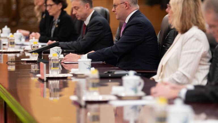 albanese-declares-australia-s-future-depends-on-this-decade
