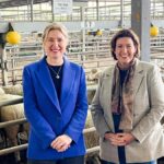 albanese-government-unveils-139-7-million-aid-for-sheep-industry