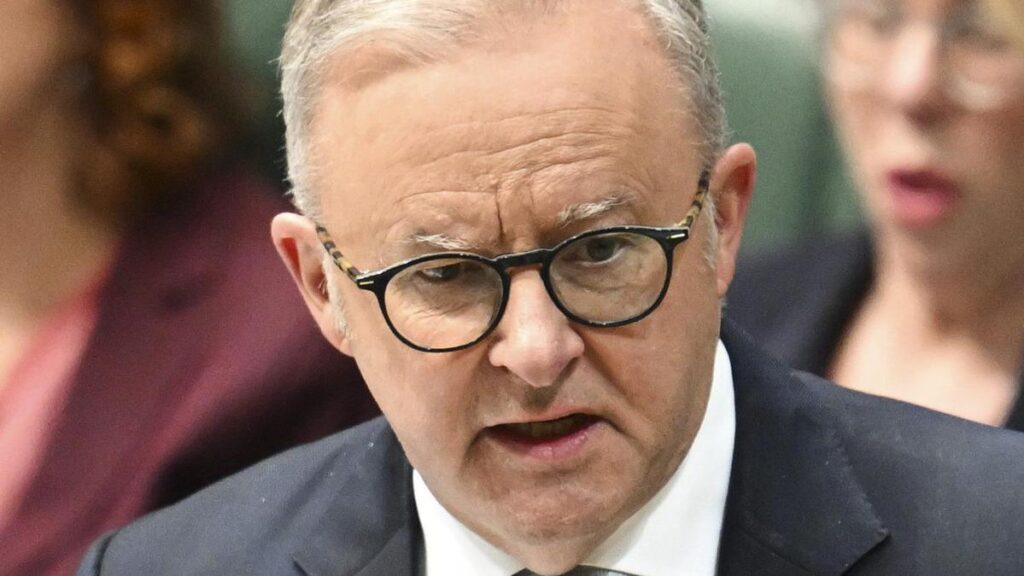 albanese-urges-immediate-end-to-gaza-aid-blockade-by-israel