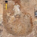 ancient-dinosaur-tracks-reveal-evidence-of-multi-species-herding