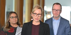 australian-greens-expel-co-founder-drew-hutton-amid-controversy