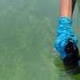 california-innovates-monitoring-for-toxic-algal-blooms