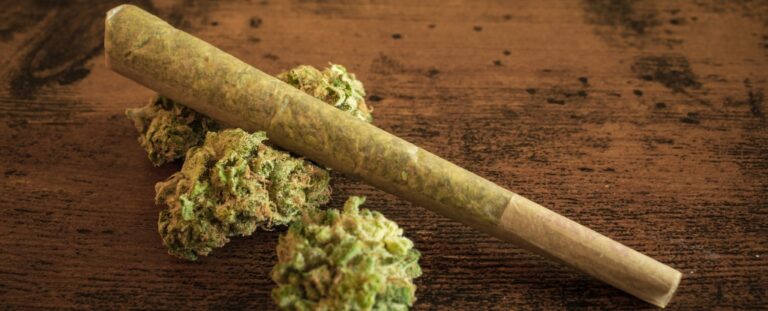 cannabis-use-linked-to-epigenetic-changes-study-finds