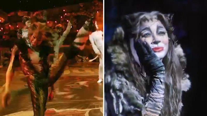 celebrate-40-years-cats-the-musical-tours-australia