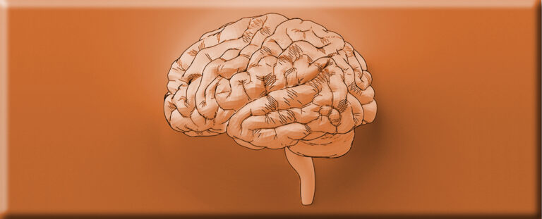 copper-intake-linked-to-enhanced-cognitive-function-in-seniors