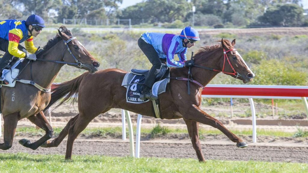 Sunlit Fresco and Alex Hearn taking Monday's trial.