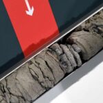 denver-museum-discovers-fossil-during-geothermal-study