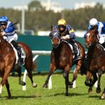 diddle-dumpling-aims-for-third-straight-win-at-randwick