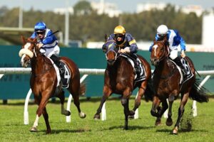 diddle-dumpling-aims-for-third-straight-win-at-randwick