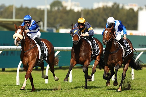 diddle-dumpling-aims-for-third-straight-win-at-randwick