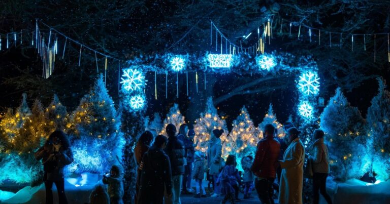 discover-canberra-s-vibrant-events-from-christmas-in-july-to-art-exhibitions