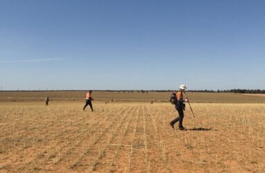 edify-energy-proposes-australia-s-largest-solar-battery-hybrid
