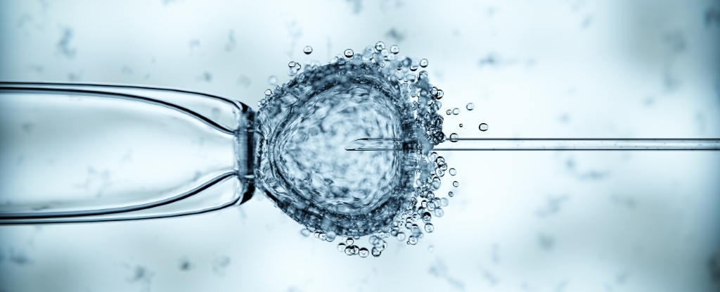 eight-babies-born-in-uk-using-revolutionary-three-parent-ivf-method