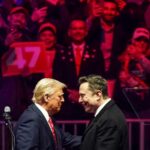 elon-musk-s-america-party-a-new-political-force-or-a-passing-storm-