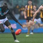hawthorn-claims-crucial-win-over-port-adelaide-in-wild-weather