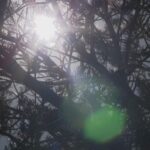 heatwave-poses-serious-risks-for-91-000-colorado-residents-with-alzheimer-s