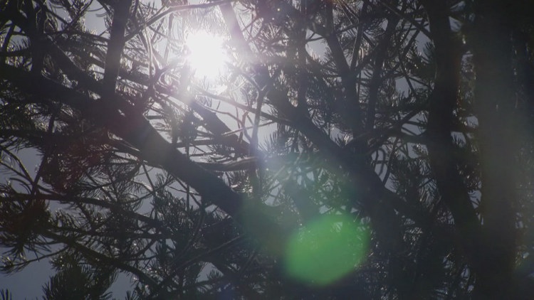 heatwave-threatens-lives-of-91-000-coloradans-with-alzheimer-s