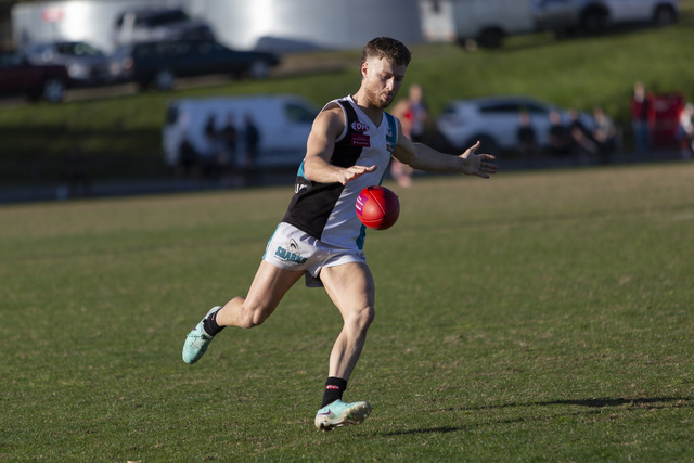 hillside-sharks-dominate-avondale-heights-in-must-win-clash