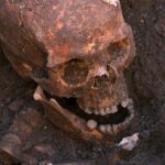 historical-inquiry-raises-new-questions-on-princes-in-the-tower