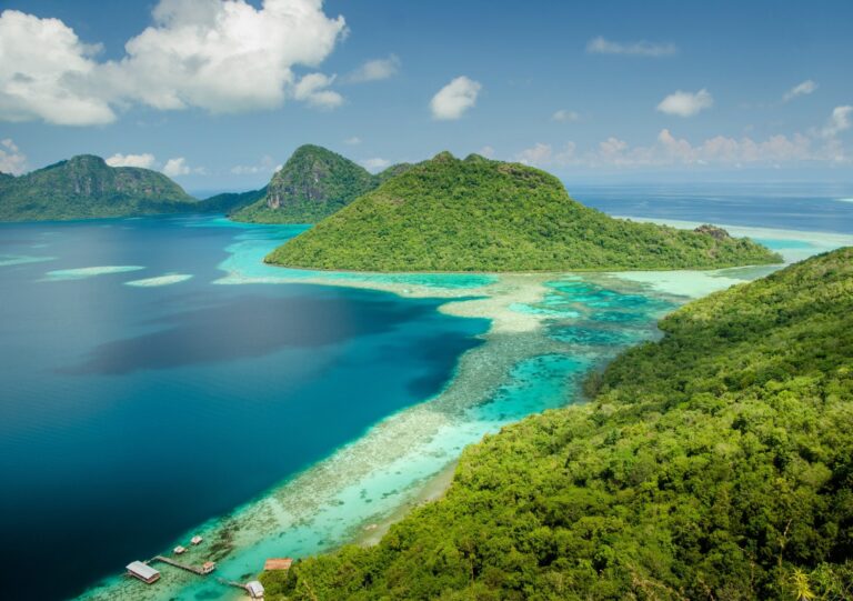 how-island-rivers-quietly-shape-and-sustain-coral-reefs