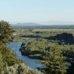 idaho-s-mussel-eradication-efforts-threaten-local-wildlife