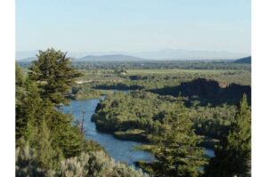 idaho-s-mussel-eradication-efforts-threaten-local-wildlife