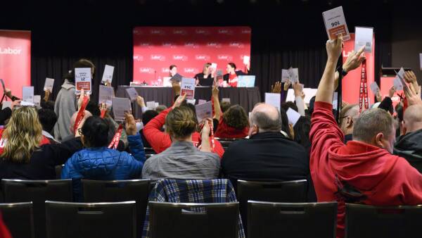 labor-party-urges-transparency-in-ai-use-for-public-services