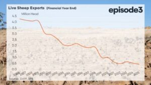 live-sheep-export-faces-decline-as-global-markets-shrink