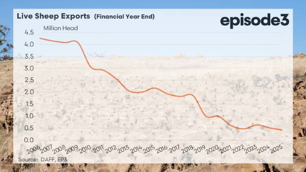 live-sheep-export-faces-decline-as-global-markets-shrink