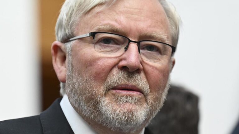 mckenzie-critiques-rudd-s-performance-as-us-ambassador