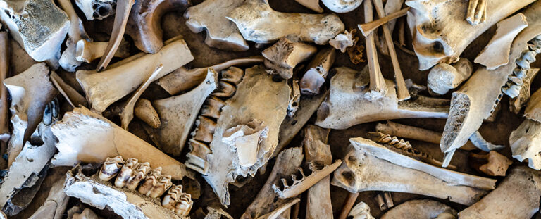 neanderthal-fat-factory-discovery-reveals-advanced-resource-management