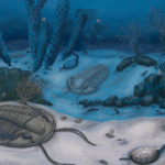 new-grand-canyon-fossils-illuminate-evolution-s-early-experiments