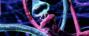 new-insights-reveal-complex-role-of-dopamine-in-brain-function