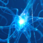 new-study-identifies-four-key-patterns-predicting-alzheimer-s