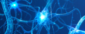 new-study-identifies-four-key-patterns-predicting-alzheimer-s