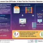 new-tool-enhances-crispr-accuracy-by-addressing-genetic-variations