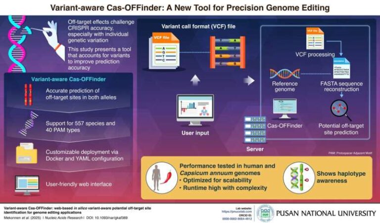 new-tool-enhances-crispr-accuracy-by-addressing-genetic-variations