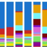 new-tool-reveals-tumor-growth-patterns-through-cell-mapping