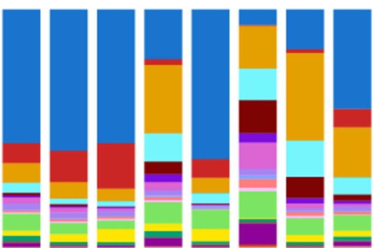 new-tool-reveals-tumor-growth-patterns-through-cell-mapping