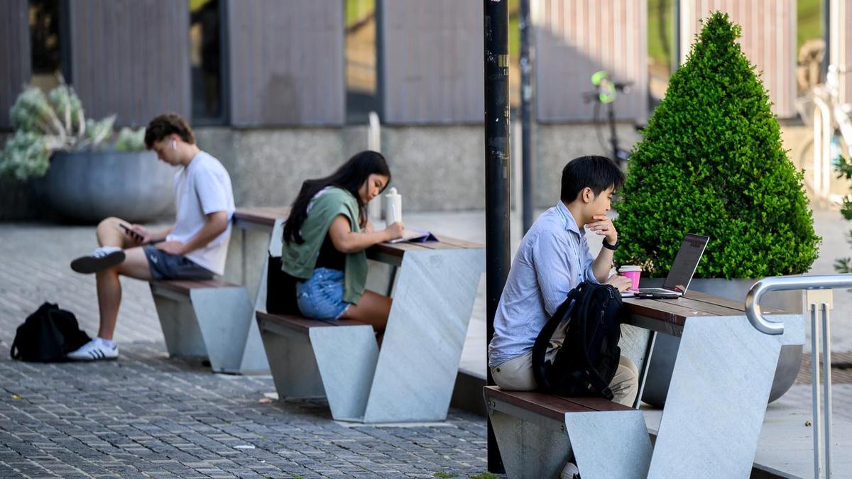 new-zealand-unveils-ambitious-plan-to-boost-foreign-student-enrollment
