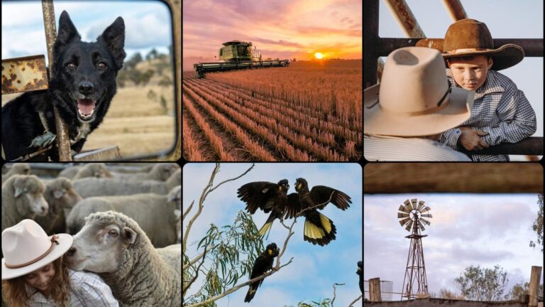 Rural Aid’s 2024 Spirit of the Bush Photo finalists.