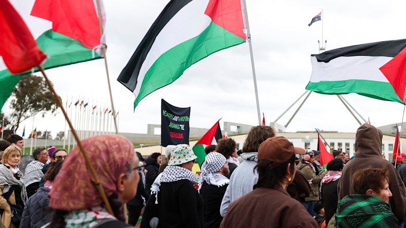 pro-palestine-protesters-detained-during-parliament-opening
