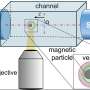 researchers-advance-cancer-treatment-with-magnetic-drug-delivery