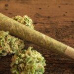 researchers-uncover-lasting-epigenetic-changes-linked-to-cannabis-use