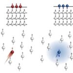 researchers-unveil-mechanism-for-spin-selective-transport-in-wse2