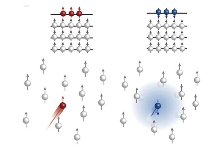 researchers-unveil-mechanism-for-spin-selective-transport-in-wse2